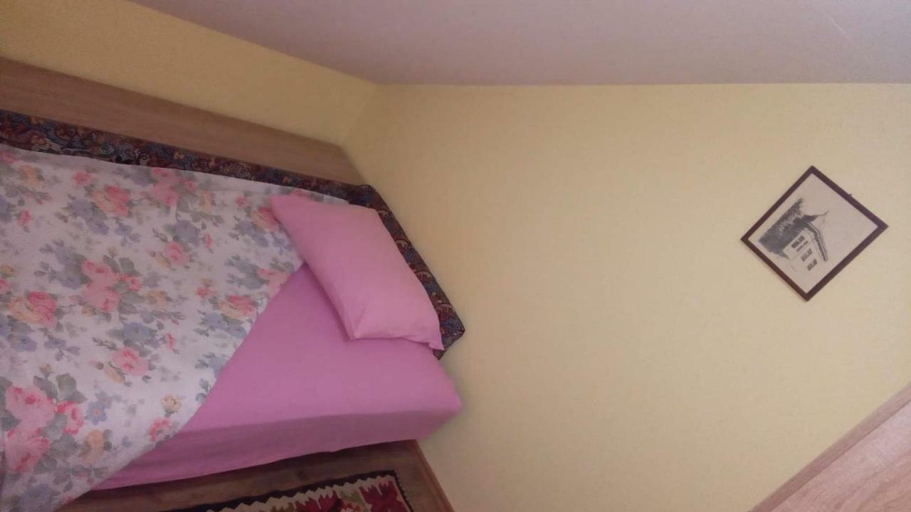 Hotel Putnicka kuca kod Dragane Bajina Basta Exterior foto